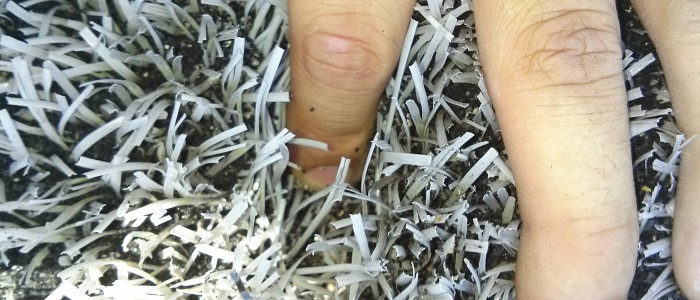 A hand installing FieldTurf synthetic Turf
